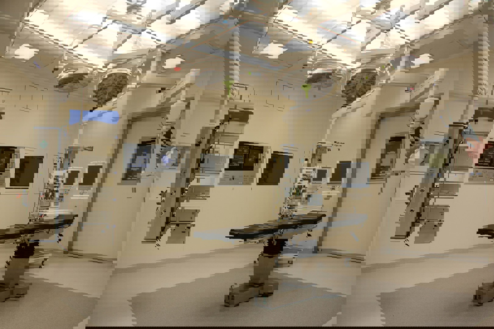 LX-9000 智能语音多功能护理床